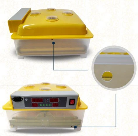 Mini Smalll Incubator